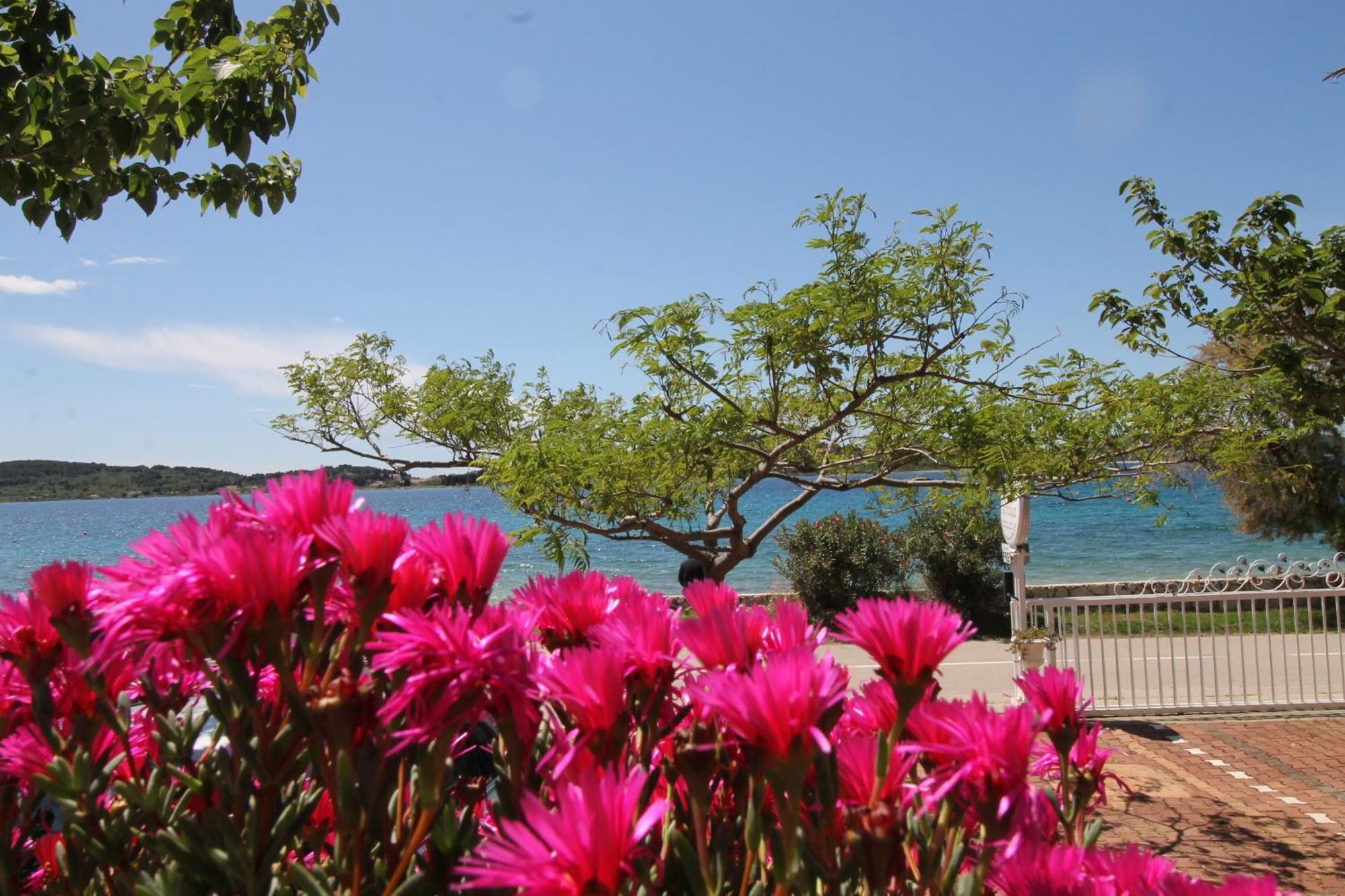 Villa Aurelia Vodice Eksteriør bilde
